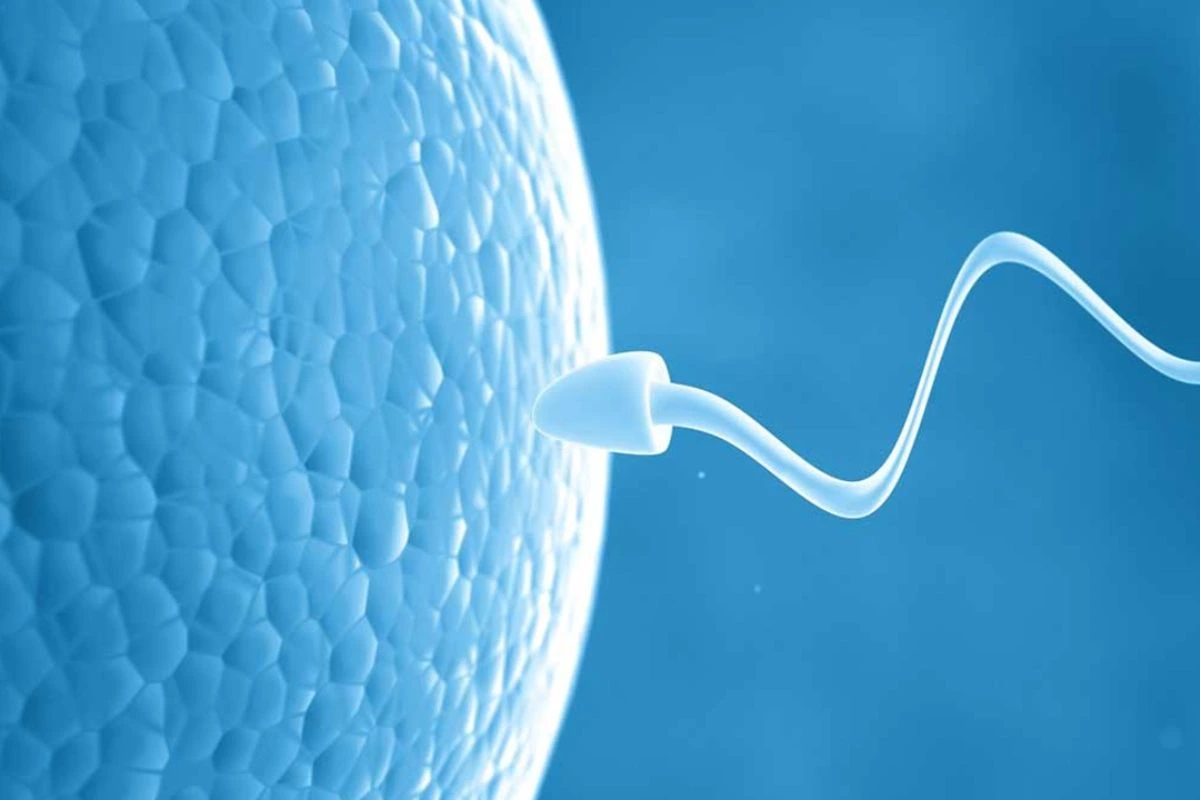Low Sperm Count Treatment